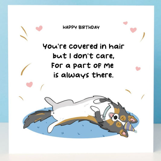 Happy birthday card from the sheltie