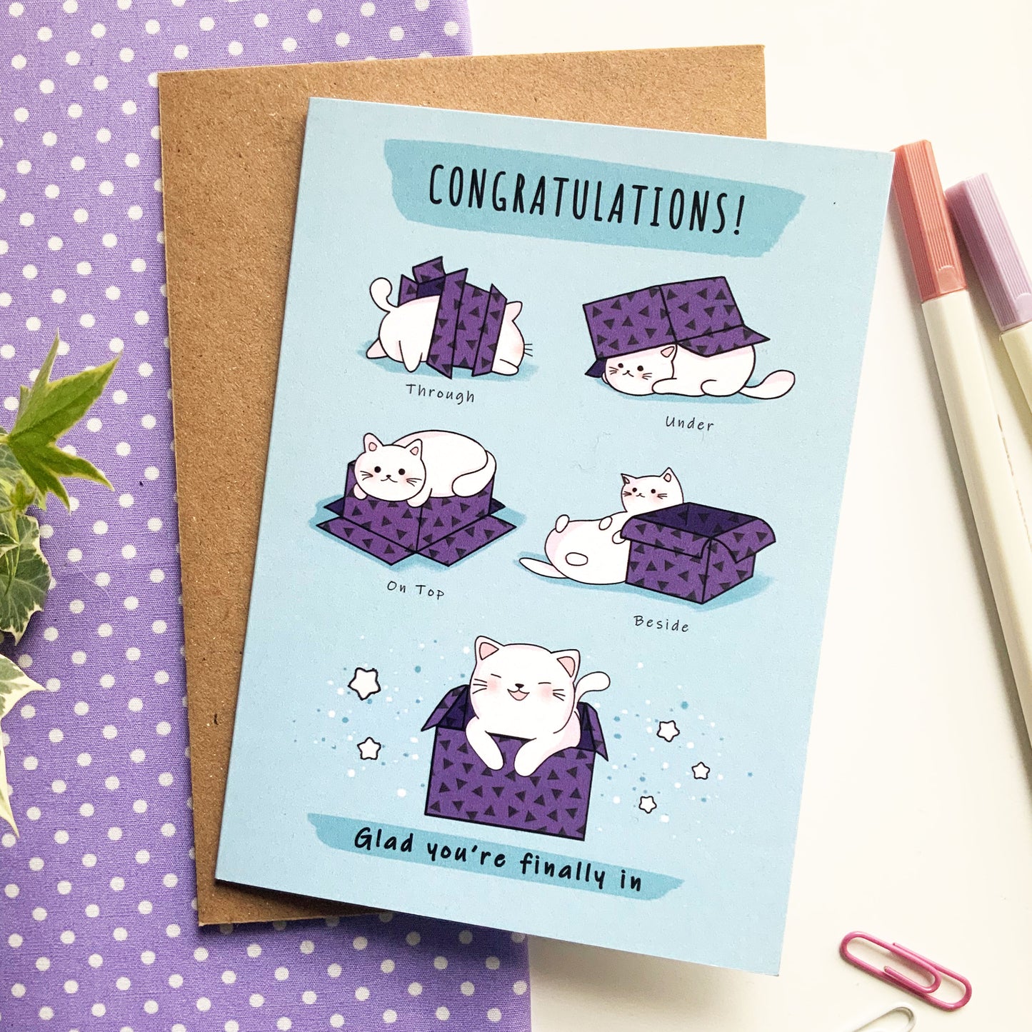 Humorous greeting card featuring a cat peeking out from a cardboard box.