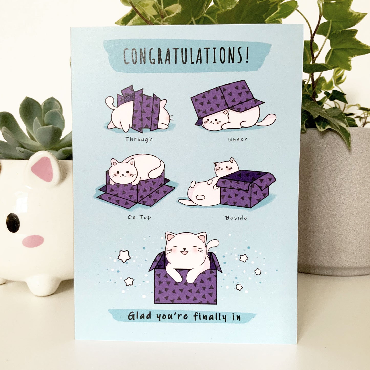 Humorous greeting card featuring a cat peeking out from a cardboard box.