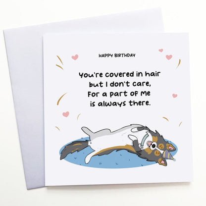 Birthday card from the sheltie with envelope
