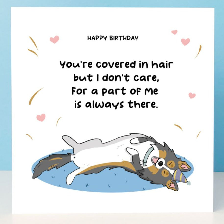Happy birthday card from the sheltie