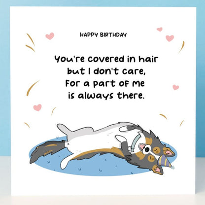 Happy birthday card from the sheltie