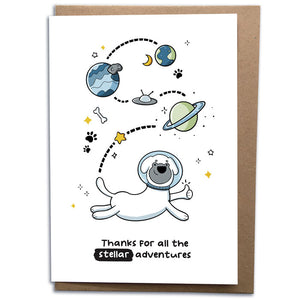 Stellar Walks Thank You Card From The Dog