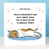 Birthday Card from the Rough Collie