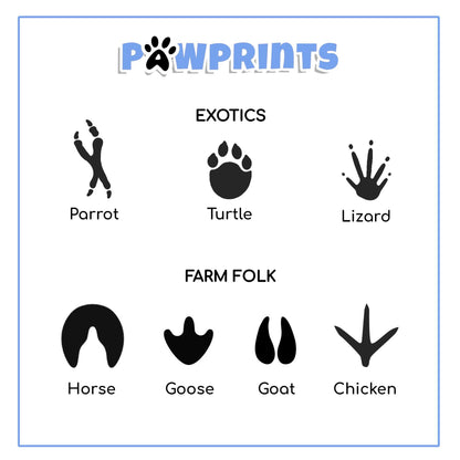 Personalised Dad Birthday Card From Pets - Custom Paw Prints