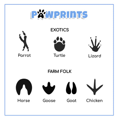 Grandad Father's Day Card from Pets – Personalised Paw Prints