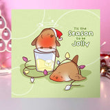 Pack of Christmas cards featuring illustrations of robins in festive settings.