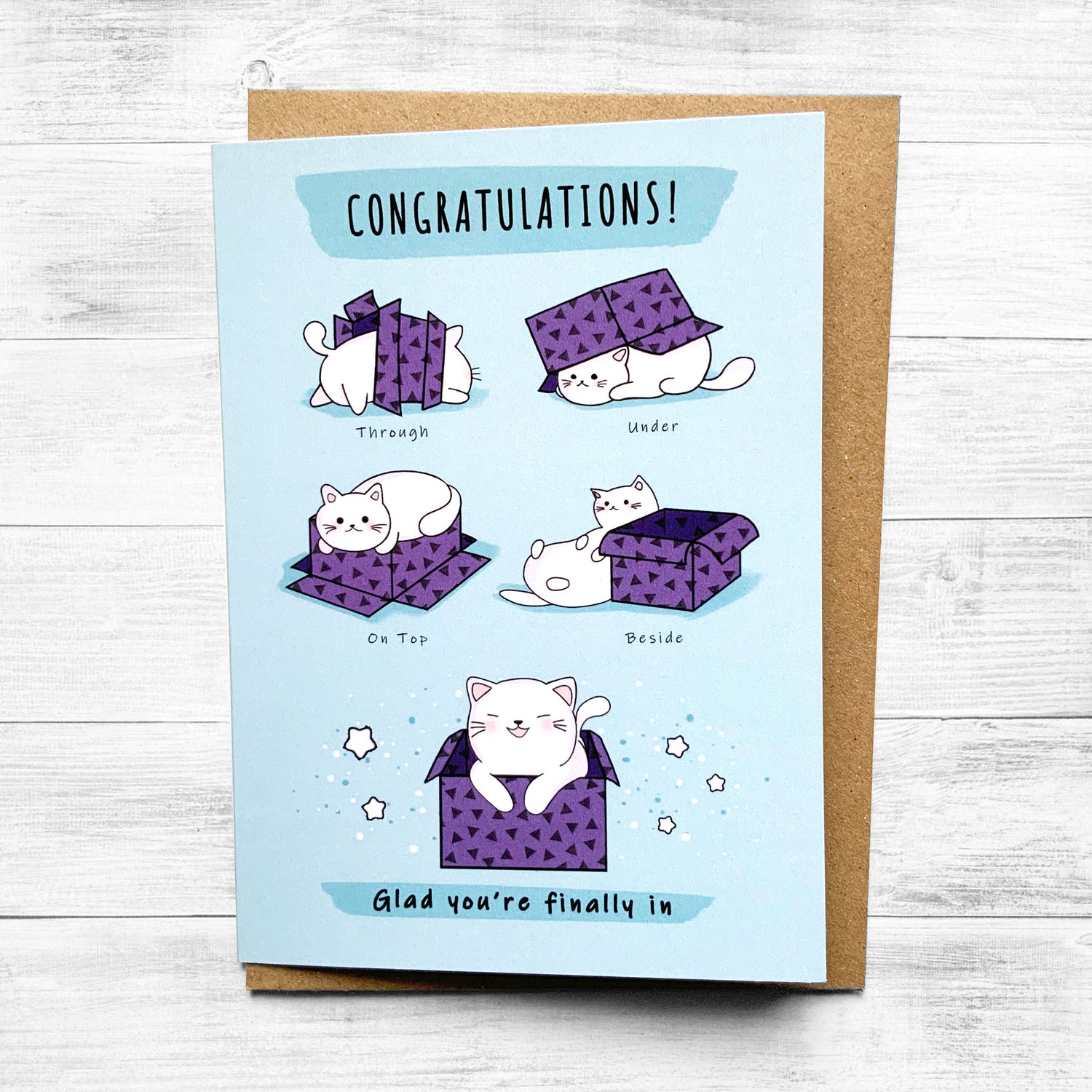 Humorous greeting card featuring a cat popping out of a box.