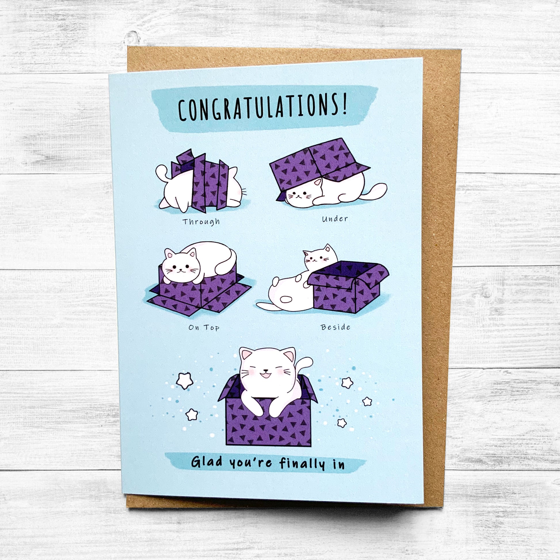 Humorous greeting card featuring a cat popping out of a box.